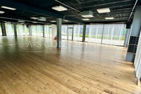 LOCAL COMMERCIAL 150m2 LA RAVOIRE 227895120_73_0246_4.jpg