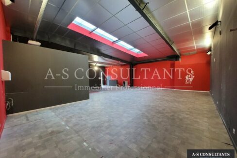 LOCAL COMMERCIAL 238m2 BOURGOIN JALLIEU 715660205_38_0294_13.jpg