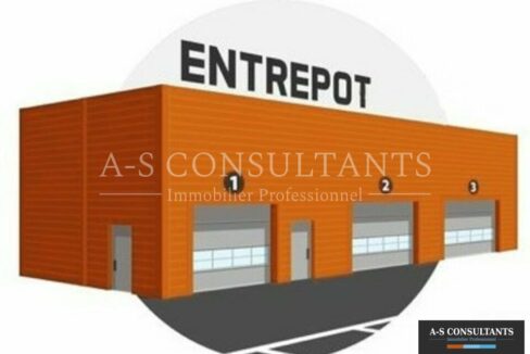 ENTREPOT LOCATION LORIOL SUR DROME 995731640_26_0195_1.jpg