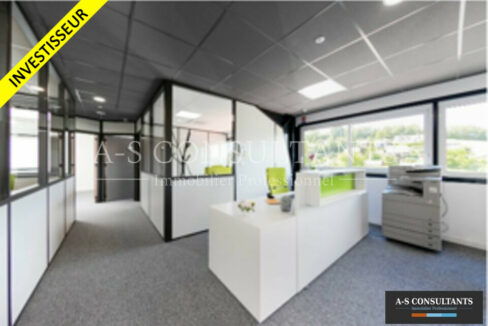 BUREAUX A VENDRE ANNECY 462492394_74_0092_1.jpg